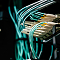 Digital Infrastructure